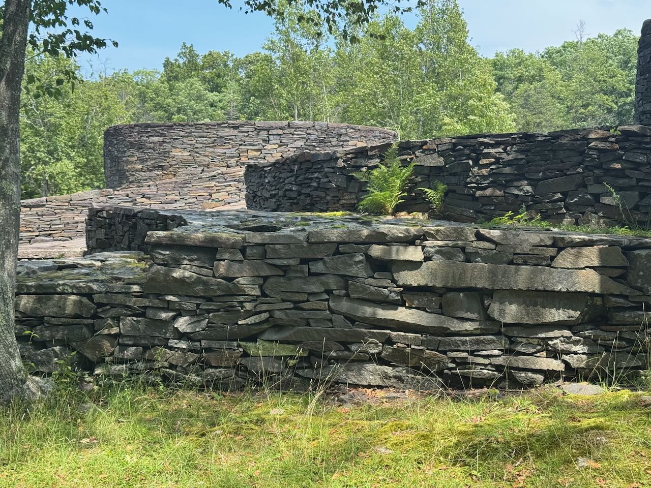 Walls Nature Trees Grass